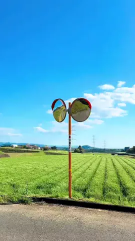 朔のTikTok投稿