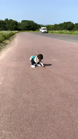 バタやんのTikTok投稿