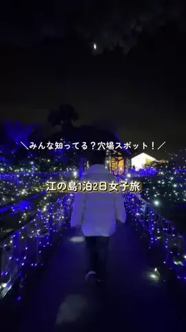 minteのTikTok投稿