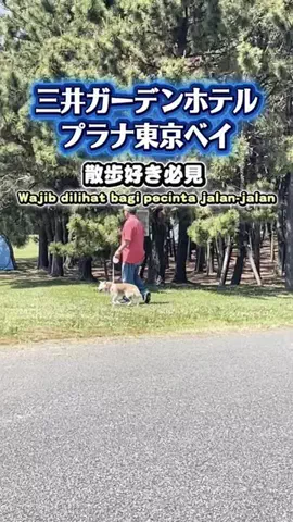 常烈ブルー🟦青い旅人のTikTok投稿