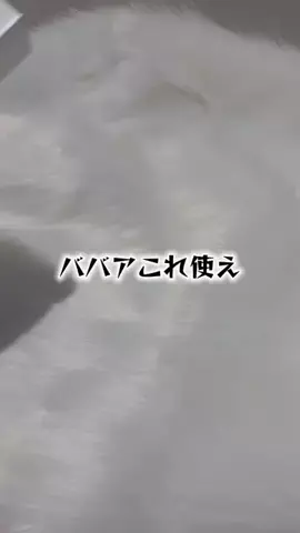 なこのTikTok投稿