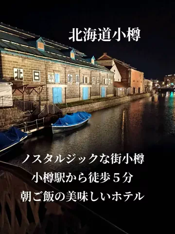 トータスのTikTok投稿