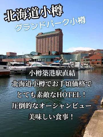 トータスのTikTok投稿