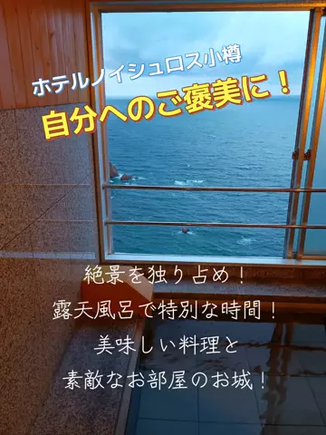 トータスのTikTok投稿