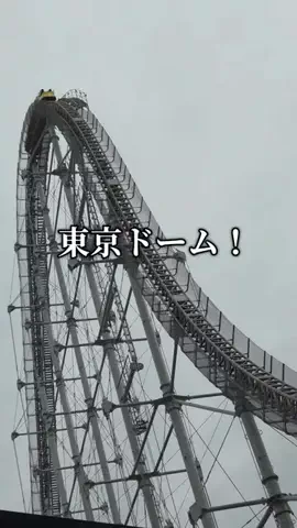 トータスのTikTok投稿