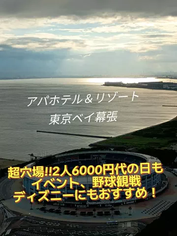 トータスのTikTok投稿