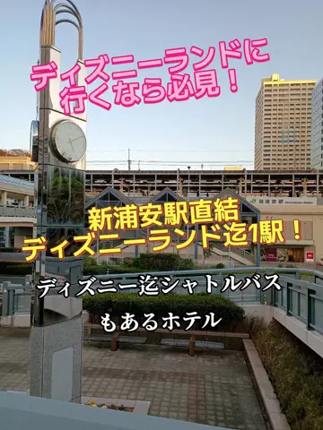 トータスのTikTok投稿