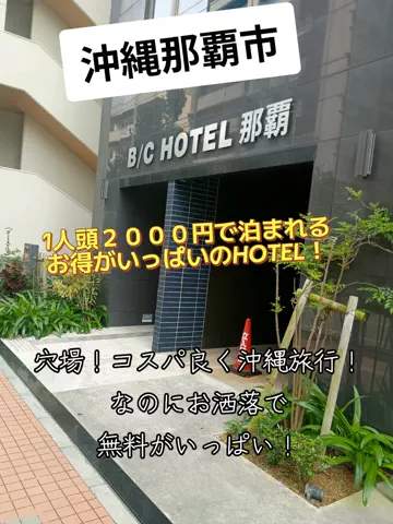 トータスのTikTok投稿