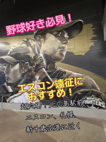 トータスのTikTok投稿