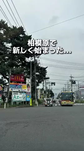 えびなびのTikTok投稿