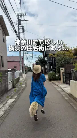 えびなびのTikTok投稿