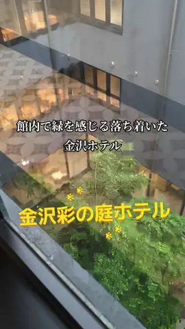 のぶ(スーパー旅行系クリエイター)のTikTok投稿