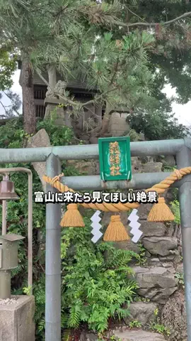 のぶ(スーパー旅行系クリエイター)のTikTok投稿
