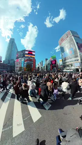 Cotton | Japan Travel 🇯🇵のTikTok投稿