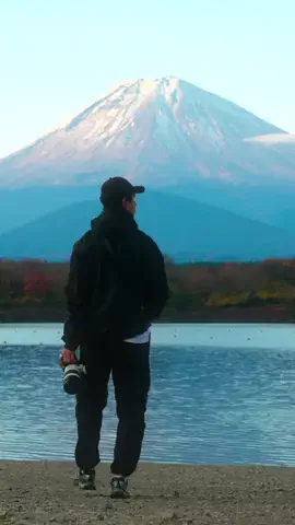 Cotton | Japan Travel 🇯🇵のTikTok投稿