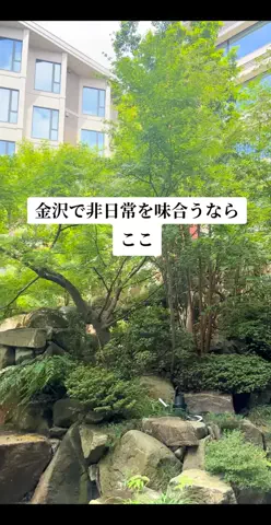 のぶ(スーパー旅行系クリエイター)のTikTok投稿