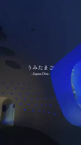 トコトコ日記✈️｜旅とホテル案内のTikTok投稿