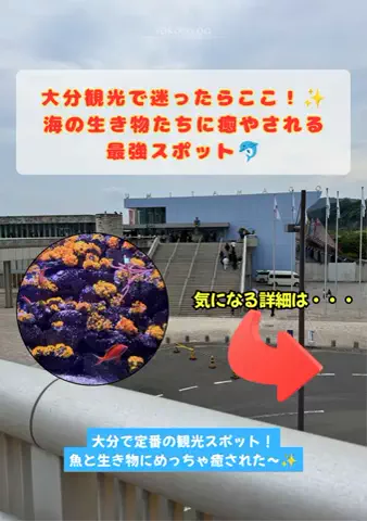 トコトコ日記✈️｜旅とホテル案内のTikTok投稿