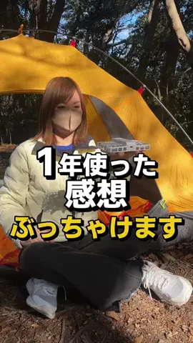 フラミン子のTikTok投稿