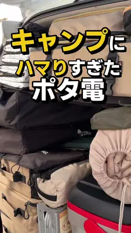 フラミン子のTikTok投稿