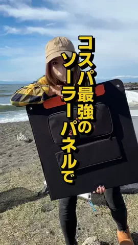 フラミン子のTikTok投稿