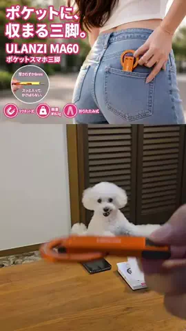 るるちゃんねるのTikTok投稿