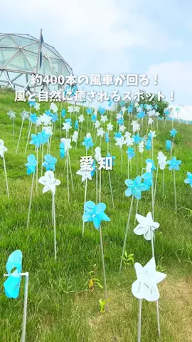 オルカナビ 名古屋グルメ🫍オルナビ🫍のTikTok投稿