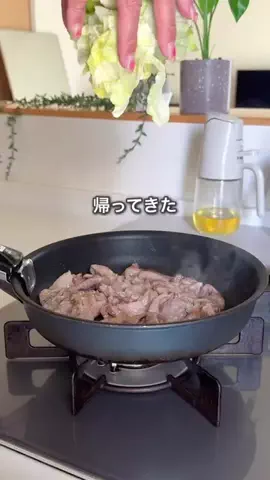ハレ弁のTikTok投稿