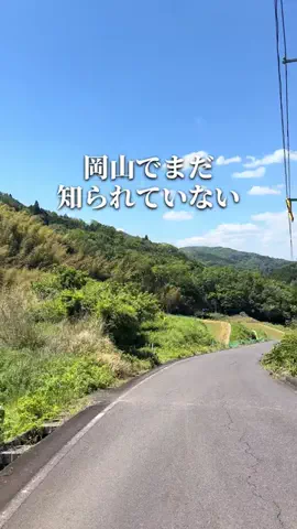 chinami_岡山グルメ観光のTikTok投稿