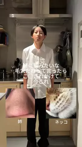 杏仁のTikTok投稿