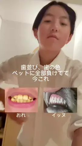 杏仁のTikTok投稿