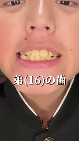 杏仁のTikTok投稿