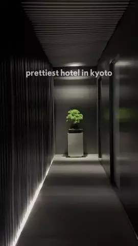 Naomi KatoのTikTok投稿