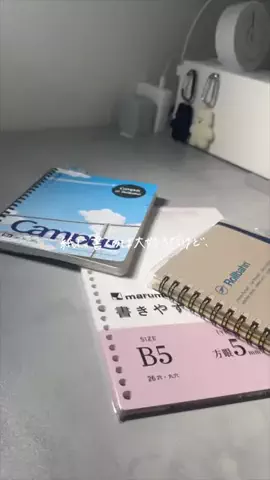 そらしどのTikTok投稿