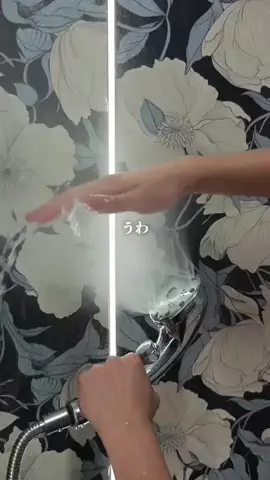 Simple DwellのTikTok投稿