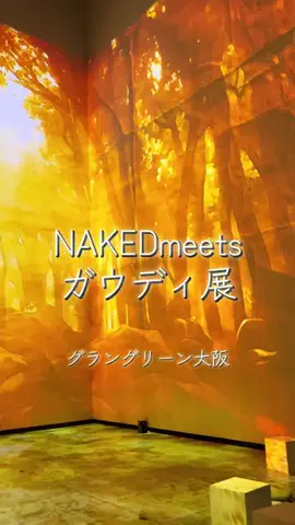 週末の旅たつ♤Ωホテル紹介のTikTok投稿