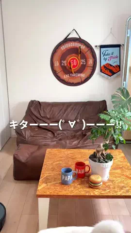 しゅんパパ | ﾌｧﾐﾘｰ 植物 ｲﾝﾃﾘｱのTikTok投稿
