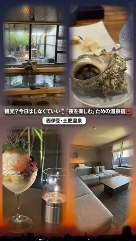 日本グルメのTikTok投稿