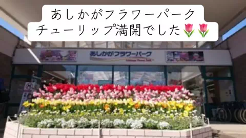 極楽ジョウドのTikTok投稿