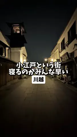 日本グルメのTikTok投稿