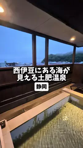 日本グルメのTikTok投稿