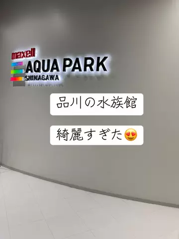極楽ジョウドのTikTok投稿