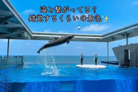 極楽ジョウドのTikTok投稿