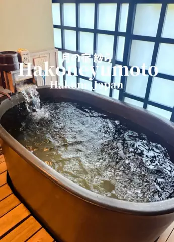 日本グルメのTikTok投稿