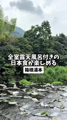 日本グルメのTikTok投稿