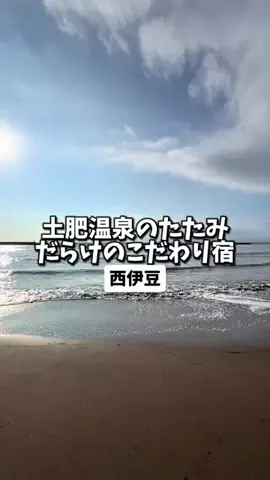 日本グルメのTikTok投稿