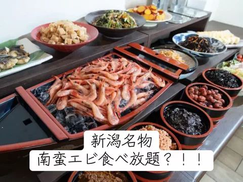 極楽ジョウドのTikTok投稿