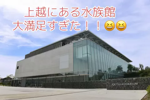 極楽ジョウドのTikTok投稿