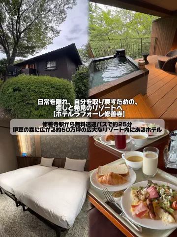 日本グルメのTikTok投稿