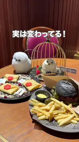 旅する2人のTikTok投稿